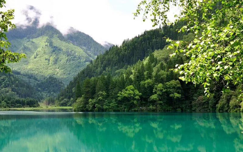 高效节能高效